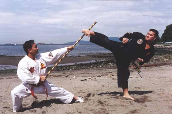 Hapkido